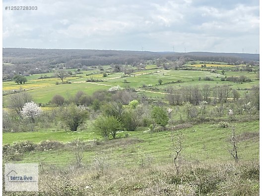 KIRKLARELİ VİZE KÖMÜRKÖYDE 9.444 m2 MÜSTAKİL TAPULU TARLA