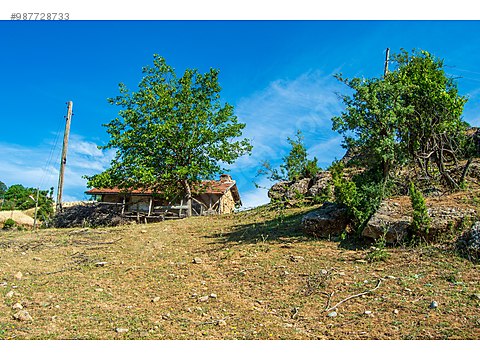 ew5esw4fe6qam ew5esw4fe6qam