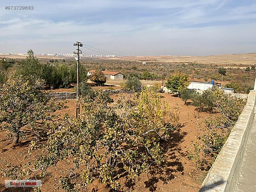 gaziantep sehitkamil basari emlak emlak ilanlari sahibinden com da gaziantep sehitkamil basari emlak emlak ilanlari sahibinden com da