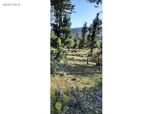 Kemer Beycik Te Gorulmeye Deger Satilik Arsa Ilanlari Sahibinden Com Da 828731616