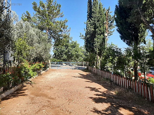 aşk şiirleri potrno