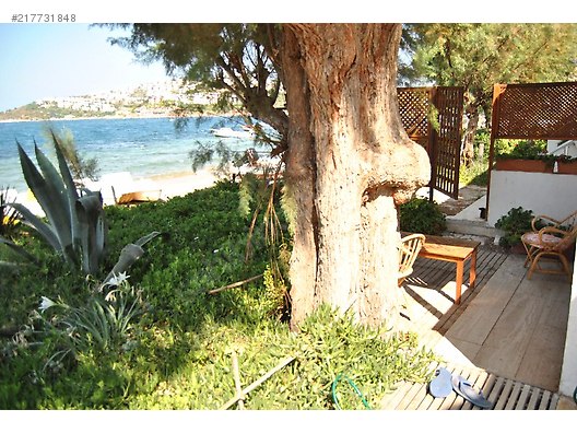 denize sifir full esyali kiralik yazlik villa 2022 kiralik yazlik ilanlari sahibinden com da 217731848 denize sifir full esyali kiralik yazlik villa 2022 kiralik yazlik ilanlari sahibinden com da 217731848