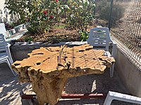 250 Yıllık Zeytin Ağacı Kökü Epoksi Masa İçin Eşsiz Antika Kök