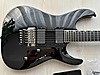 ESP Elektro Gitar