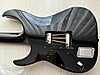 ESP Elektro Gitar