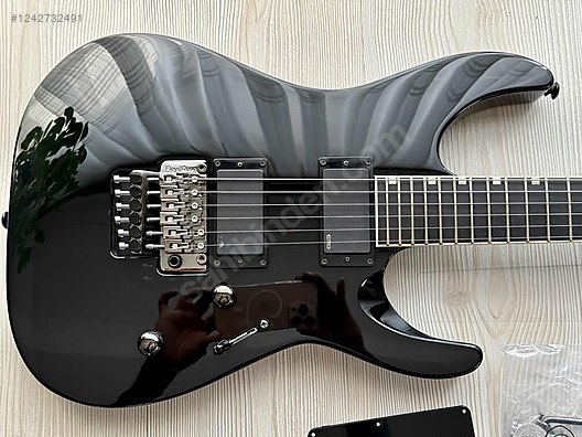 ESP Elektro Gitar