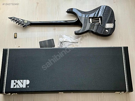 ESP Elektro Gitar