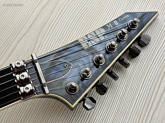 ESP Elektro Gitar