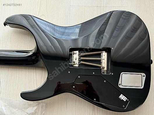 ESP Elektro Gitar