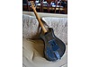 Used & Brand New Items / Music / Musical Instruments / Stringed Instruments / Guitar / Electric