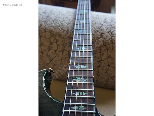 Used & Brand New Items / Music / Musical Instruments / Stringed Instruments / Guitar / Electric