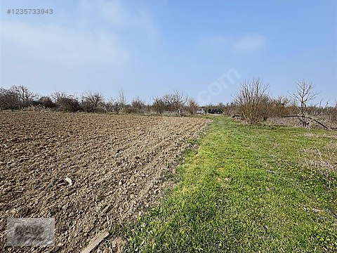 GEYVE SAFİBEY DE İMAR SINIRINDA 1601m2 DÜZ ARAZİ