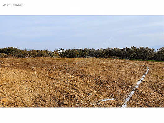 Hayırla Geldiniz Yeniköy de 375 m2 villa imarlı satılık Arsa #1285736696