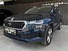 Vasıta / Arazi, SUV & Pickup / Skoda / Karoq / 1.5 TSI / Prestige