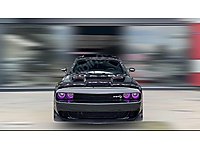 ASFALT CANAVARI #1279738351