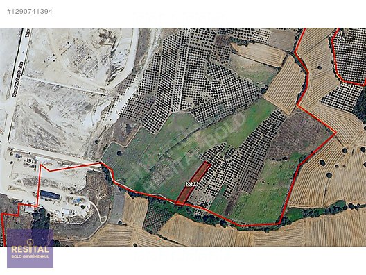 NİLÜFER BADIRGA SANAYİ BÖLGESİNE YAKIN KONUMDA SATILIK TARLA