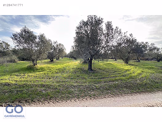 ÇANAKKALE EZİNE ÜVECİK'DE YOLA CEPHELİ SATILIK TARLA #1284741771