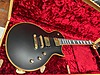 LTD Elektro Gitar