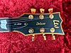 LTD Elektro Gitar