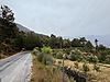 ANTALYA'DA KONUT YAPIMINA UYGUN 6759 m2 SATILIK TEK TAPU ARAZİ