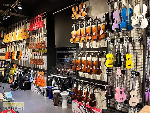 Washburn Elektro Gitar