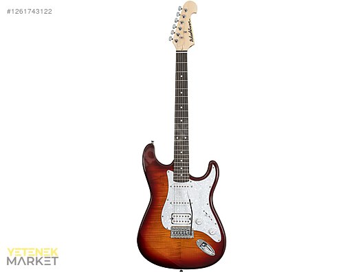 Washburn Elektro Gitar