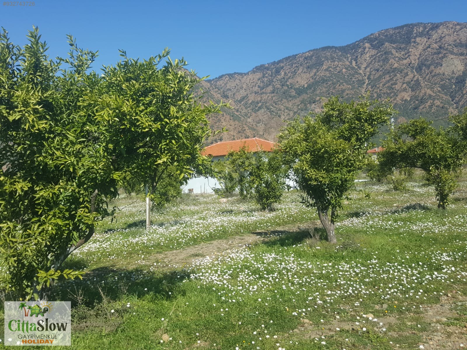 Cittaslow Gayrimenkul�den Lüx Müstakil Köy Evi Günlük Kiralık