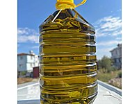 Satılık dizem zeytinyağı #1283744366