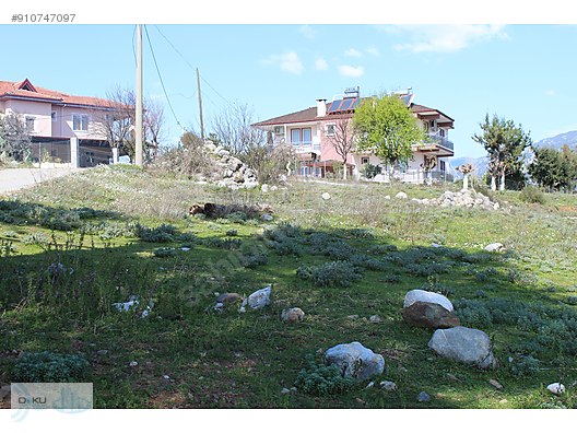 koycegiz zeytinalani mah satilik 4000 m2 arazi satilik arsa ilanlari sahibinden com da 910747097