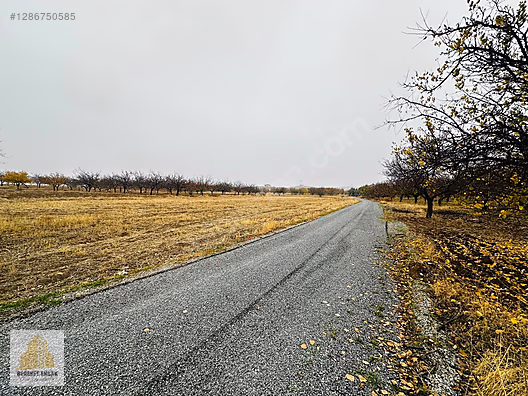 BEREKET'TEN YENİKÖY'DE SATILIK ARAZİ #1286750585