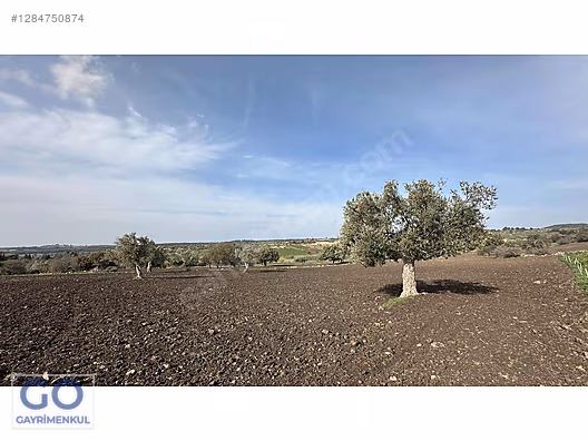 ÇANAKKALE MERKEZ AKÇAPINAR'DA SATILIK TARLA #1284750874