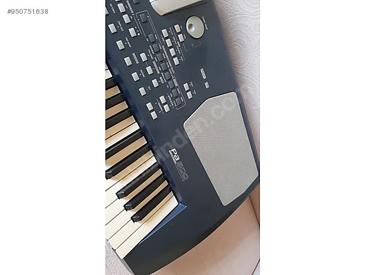 Korg Pa 500 Tr At Sahibinden Com Korg Pa 500 Tr At Sahibinden Com