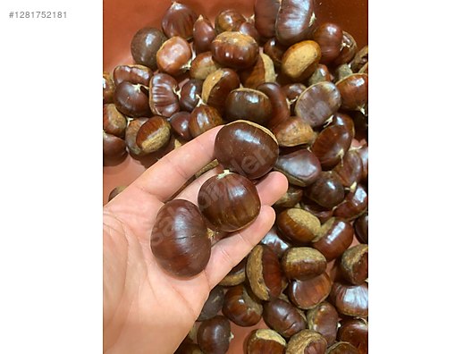 İkinci El ve Sıfır Alışveriş / Yiyecek & İçecek / Kuruyemiş