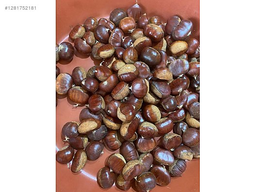 İkinci El ve Sıfır Alışveriş / Yiyecek & İçecek / Kuruyemiş