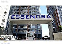 prepona info