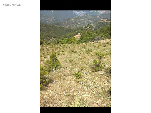 Ercan Aygün inşaat emlaktan ANTALYA ALANYA' DA TARLA #1260754027