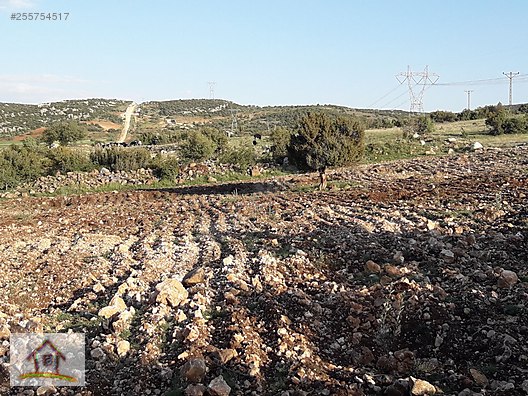omer gayrimenkulden ulkerli koyunde satilik arazi satilik arsa ilanlari sahibinden com da 255754517 omer gayrimenkulden ulkerli koyunde satilik arazi satilik arsa ilanlari sahibinden com da 255754517
