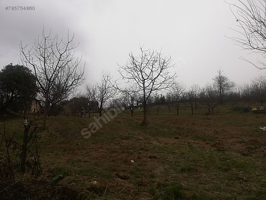 SAPANCA GÖLÜ MANZARALI ARSA #785754860