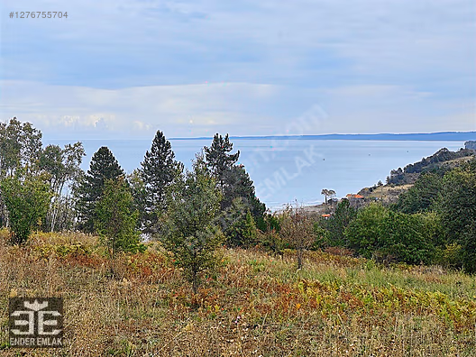 AYANCIK AĞAÇLI DA 7000 M2 DENİZ MANZARALI VİLLAIK ARSA SATILIK #1276755704