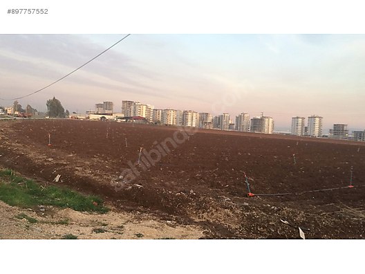 adana saricam belediye yakin ticari