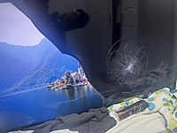 Lg tv sıkıntısı gozukmekte #1271758022