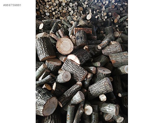 Used & Brand New Items / Garden & Home Improvement / Home Improvement / Hardware / Forest Products