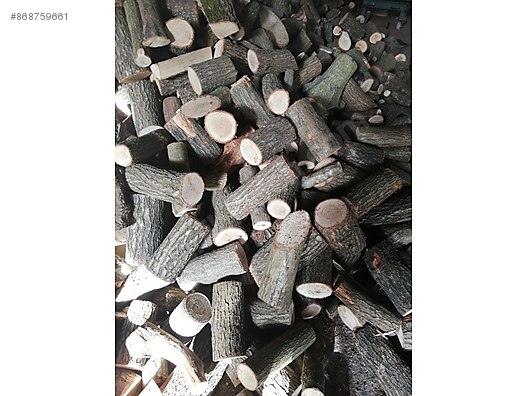 Used & Brand New Items / Garden & Home Improvement / Home Improvement / Hardware / Forest Products