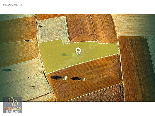 SAYMAN'DAN ZAFER OSB'YE YAKIN SATILIK TARLA #1229759725