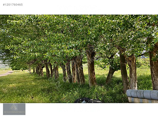 **KÖŞEBAŞI HARİKA KONUM**4230 m2**ELEKTRİK,SU PROBLEMİ YOK #1201760465