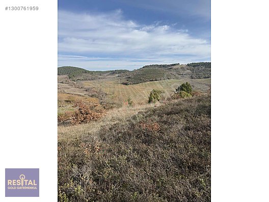 BURSA'NIN YÜKSELEN DEĞERİ MUDANYA MİRZAOBADA SATILIK TARLA