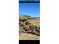 ELEKTRİK BE TELEFON SARI CAM AĞACI DİREKE