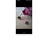 Used & Brand New Items / Mother & Baby / Transport / Stroller & Pushchair