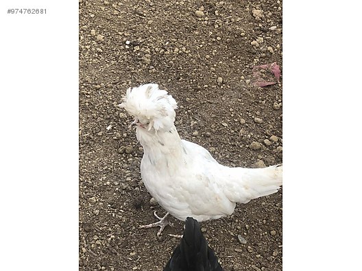 Teok3cfajuulhm Teok3cfajuulhm