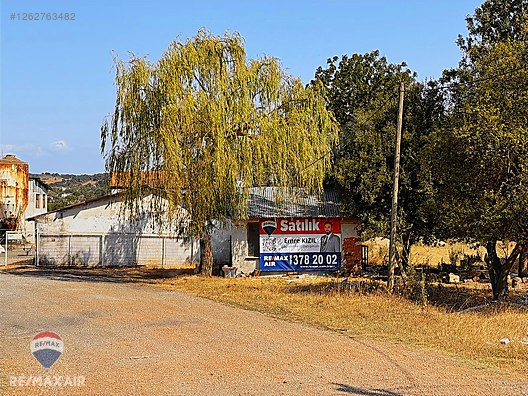 ADAPAZARI KAYRANCIK 'TA SATILIK TAVUK ÇİFTLİĞİ